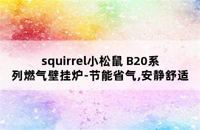 squirrel小松鼠 B20系列燃气壁挂炉-节能省气,安静舒适